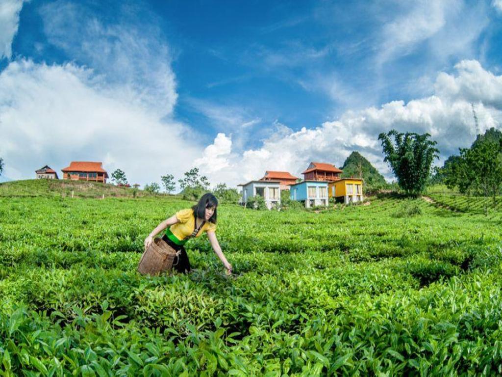 Mộc Châu Arena Village